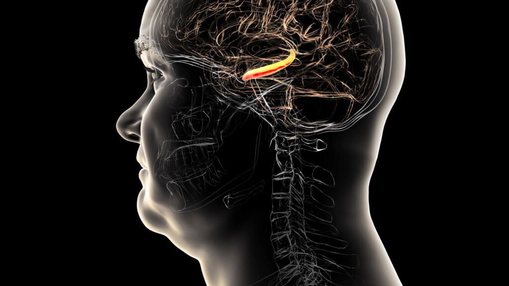 O que a ciência ainda não sabe sobre o cérebro humano