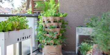 7 dicas para cultivar sua própria horta em apartamento pequeno
