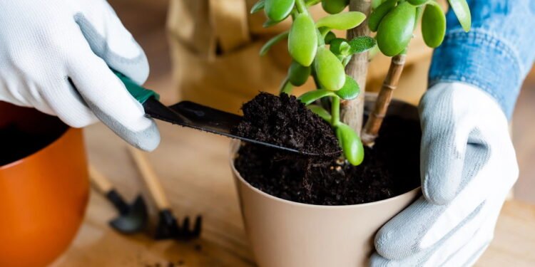 Conheça a prática da jardinagem e entenda como ela pode atuar como um dos melhores métodos antiestresse