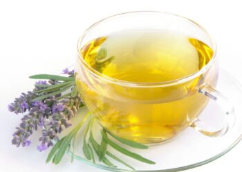 Como plantar lavanda