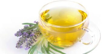 Como plantar lavanda