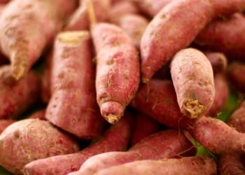 Alimento nutritivo que fortalece o coração e melhora a digestão