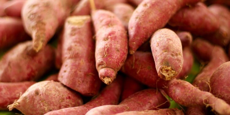 Alimento nutritivo que fortalece o coração e melhora a digestão