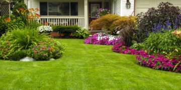 7 práticas simples para alcançar jardins perfeitos e saudáveis