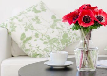 Conheça as soluções caseiras que estão fazendo muitos abandonarem o ar-condicionado