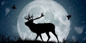 Os signos que serão os impactados pela lua cheia do veado a partir de hoje