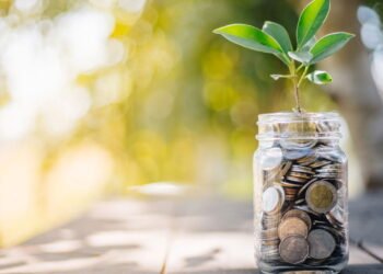 Você sabe para o que serve colocar uma moeda dentro de vasos de flores?