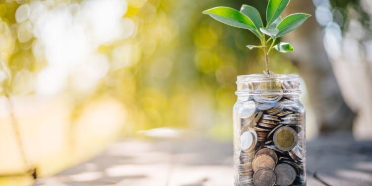 Você sabe para o que serve colocar uma moeda dentro de vasos de flores?