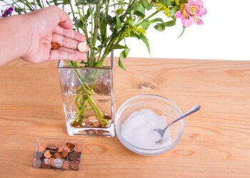 Você sabe para o que serve colocar uma moeda dentro de vasos de flores?