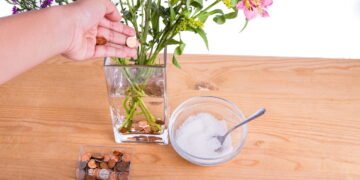 Você sabe para o que serve colocar uma moeda dentro de vasos de flores?