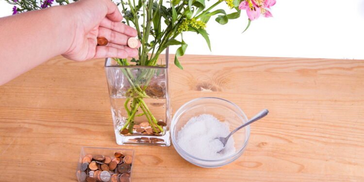 Você sabe para o que serve colocar uma moeda dentro de vasos de flores?