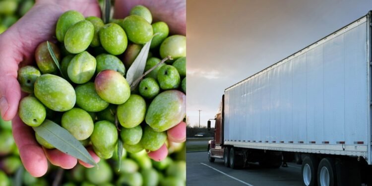 Azeitonas e caminhão - Créditos: depositphotos.com / benkrut  Créditos: depositphotos.com / Whitewolf