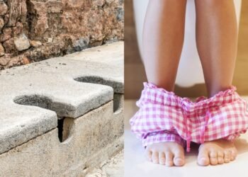 O que os nossos ancestrais faziam antes do papel higiênico ser inventado?