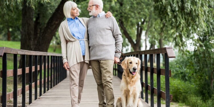 Animais de Estimação - Créditos: depositphotos.com / AllaSerebrina