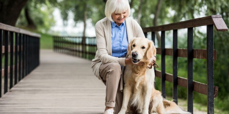 Animais de Estimação - Créditos: depositphotos.com / AllaSerebrina