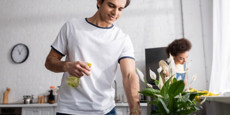 Plantas fáceis de ter em casa e ajudam a melhorar a qualidade do ar