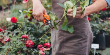 O melhor momento para podar e garantir um jardim cheio de vida