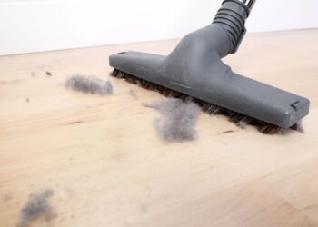 Como reduzir ácaros e poeira para um ambiente mais saudável e longe de alergias