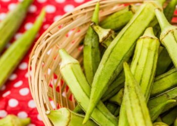 O segredo para cultivar quiabo e aproveitar seus benefícios digestivos