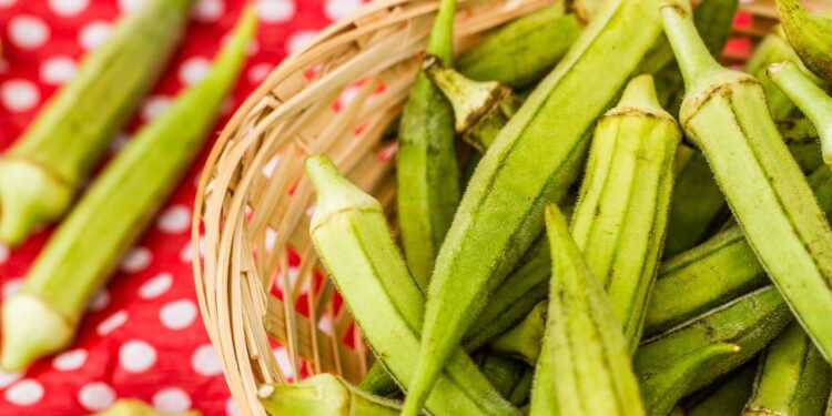 O principal destaque do quiabo está na combinação de fibras solúveis e insolúveis, que atuam diretamente no intestino e na digestão. - Créditos: depositphotos.com / hskoken