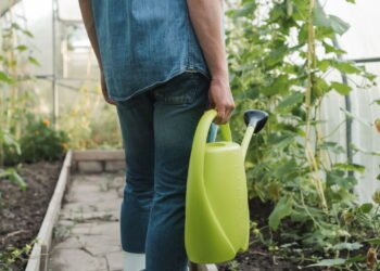 Aprenda o truque que reduz o consumo de água no jardim pela metade