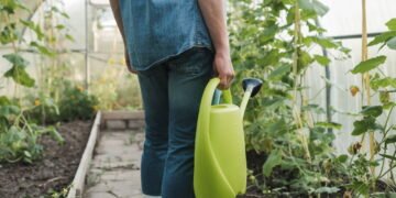 Aprenda o truque que reduz o consumo de água no jardim pela metade