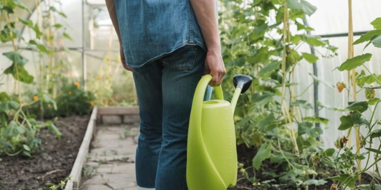 Plantas - Créditos: depositphotos.com / IgorVetushko