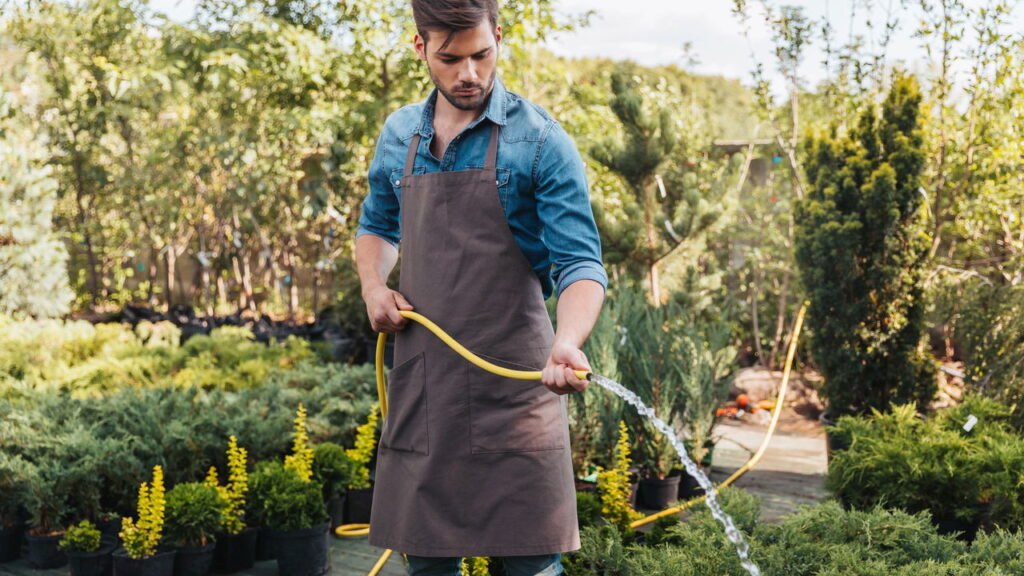 Erros comuns na hora de regar plantas que podem matá-las silenciosamente