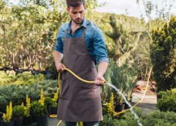Erros comuns na hora de regar plantas que podem matá-las silenciosamente