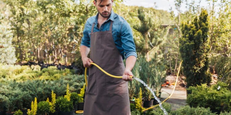 Erros comuns na hora de regar plantas que podem matá-las silenciosamente