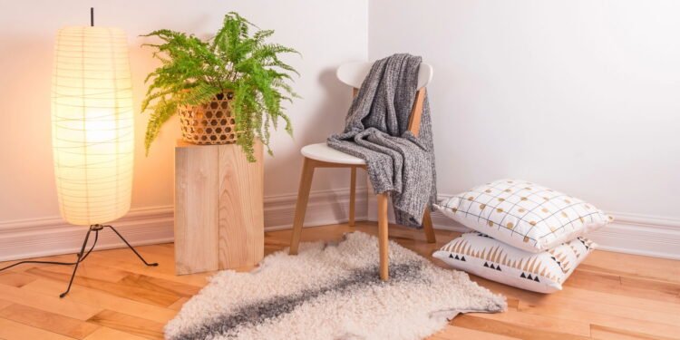 As melhores plantas que crescem na sombra e são perfeitas para seu apartamento