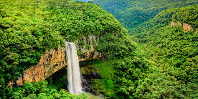 Viver o Sul do Brasil é descobrir paisagens e festas que surpreendem a cada visita