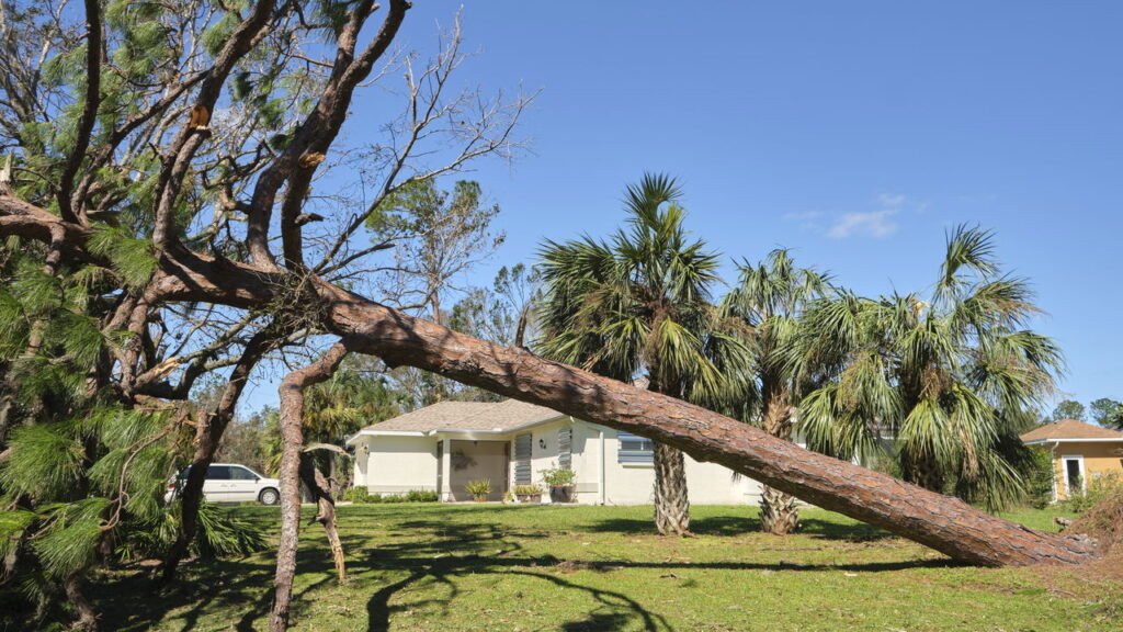 Será que sobreviveríamos se a terra parasse de girar por 1 segundo