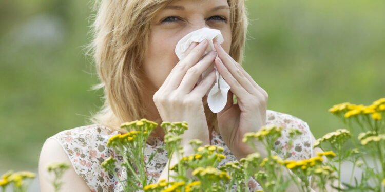 As 5 plantas de interior que você não deve ter se sofre de alergias