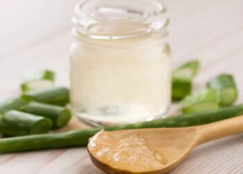 Aloe Vera garante maciez a sua pele com essas super dicas