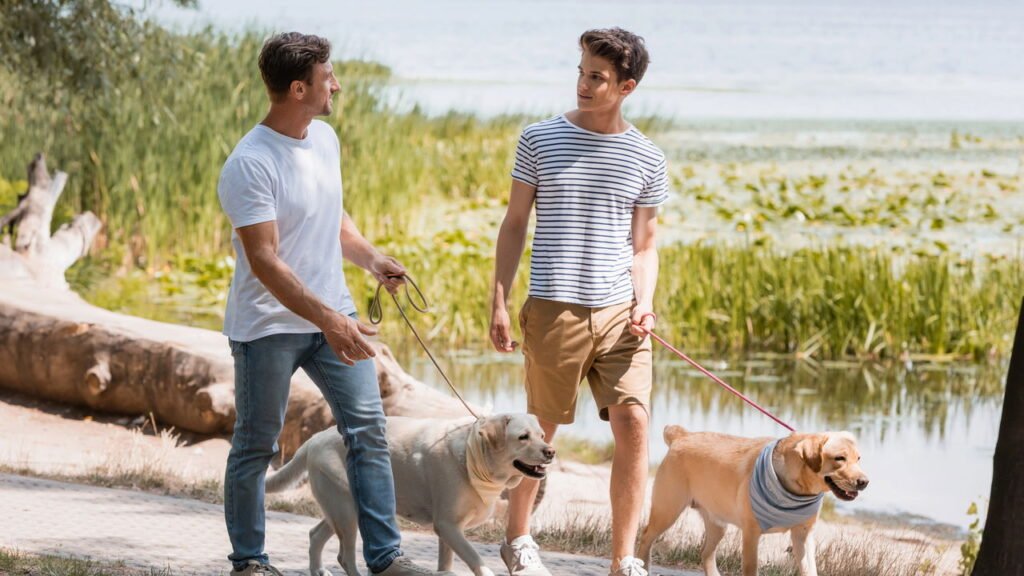 Cães detectam seu estresse antes que você diga qualquer palavra