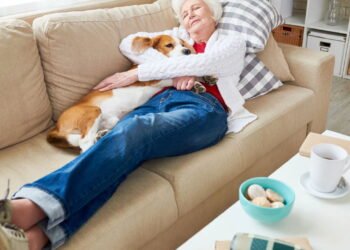 Quantos cochilos por dia são ideais após os 60 anos?