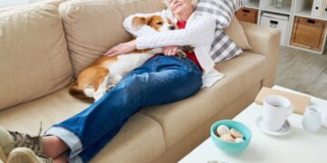 Quantos cochilos por dia são ideais após os 60 anos?