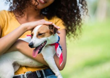 O que significa quando o cachorro abana o rabo de formas diferentes