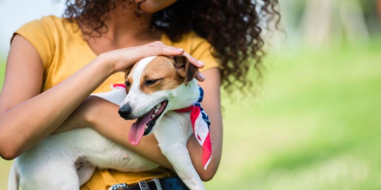 O que significa quando o cachorro abana o rabo de formas diferentes