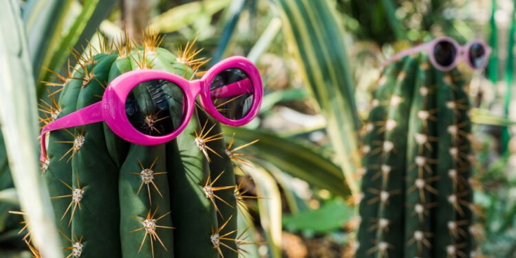 Três plantas que você NÃO deve ter em casa, segundo o Feng Shui