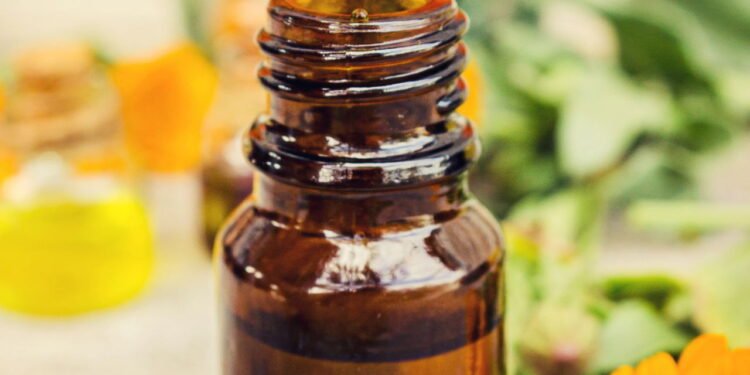 Calêndula é a flor que ajuda a cicatrizar