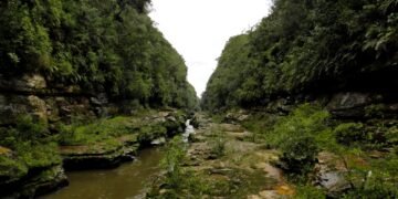 Este lugar no Paraná está encantando visitantes com seus cânions e trilhas