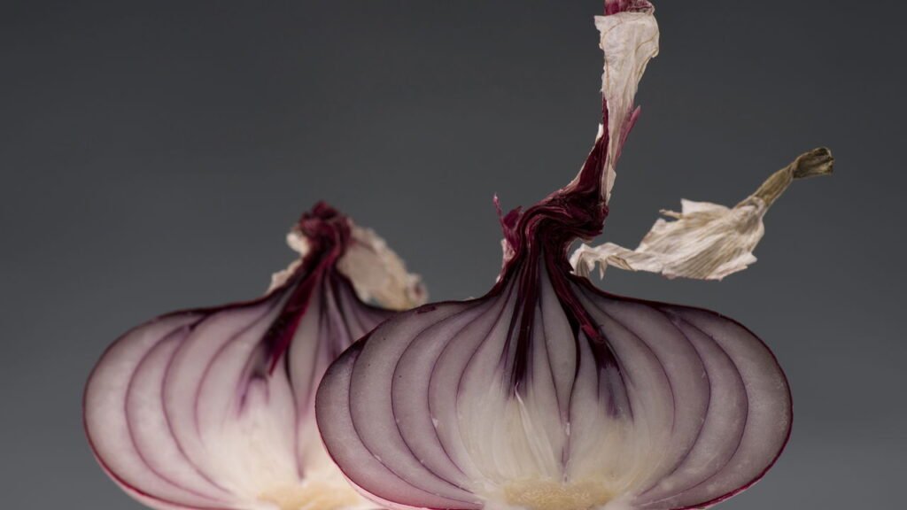 Essa planta é perfeita para afastar ratos do seu jardim