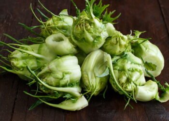 Como plantar chicória em casa de maneira simples e garantir folhas frescas o ano todo