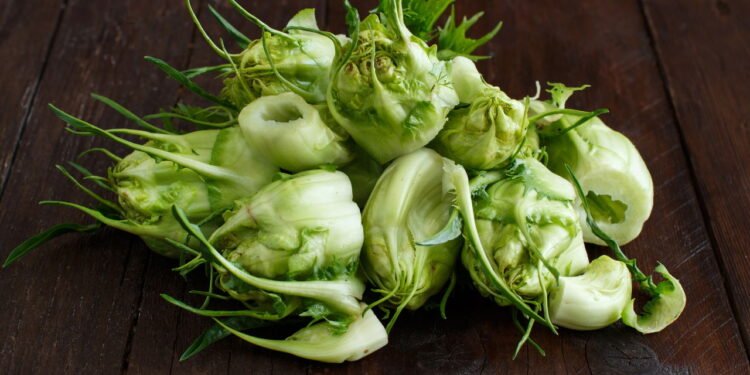 Como plantar chicória em casa de maneira simples e garantir folhas frescas o ano todo