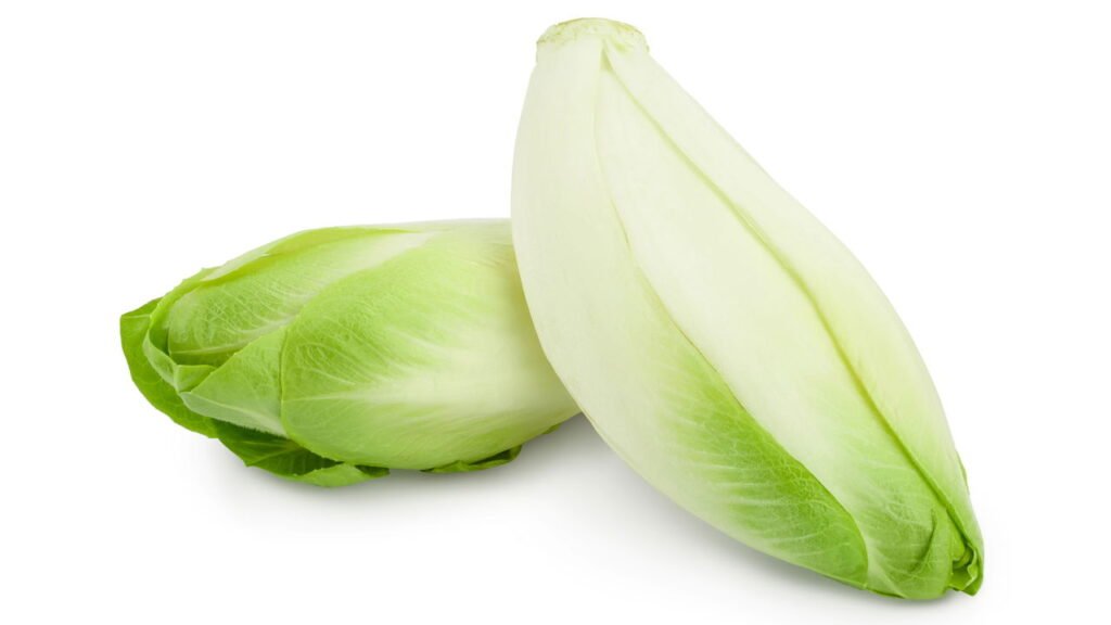 Como plantar chicória em casa de maneira simples e garantir folhas frescas o ano todo