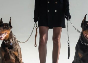 As melhores raças de cães de guarda para segurança do lar