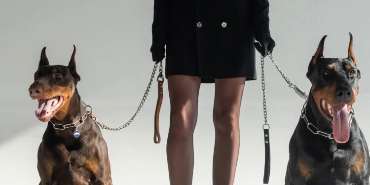 As melhores raças de cães de guarda para segurança do lar