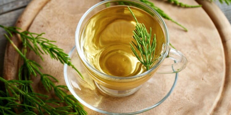 Chá - Créditos: depositphotos.com / MadeleineSteinbach